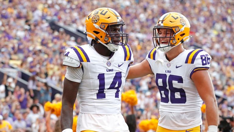 LSU tight end Trey'Dez Green (14) reacts after scoring a...