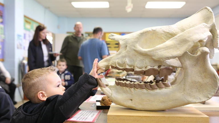 Kids can uncover fossils at Dinosaur Daze at Garvies Point Museum and Preserve...
