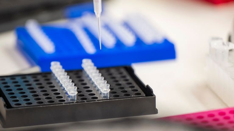 A lab technician prepares DNA samples for analysis at Complete...