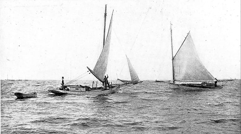 Shellfishermen work the Great South Bay from catboats about 1900...