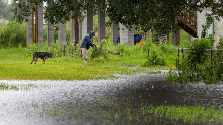 A resident of Dulac walks his dog around rising water...