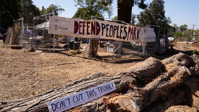 A fallen tree sits by a newly-erected barricade at People's...