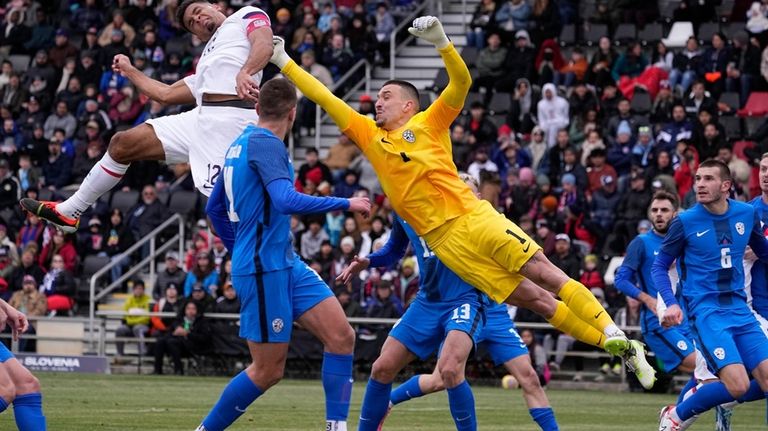 Slovenia goalkeeper Igor Vekic (1) and Klemen Mihelak defend a...