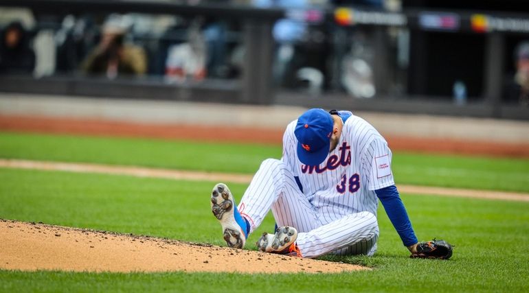 Mets fan-dogs at Citi Field on Opening Day since 2009 - Newsday