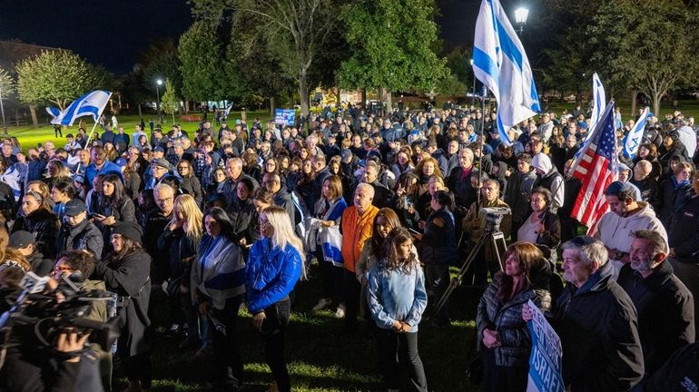 Demonstrators rally in Village Green Park in Great Neck on Sunday...