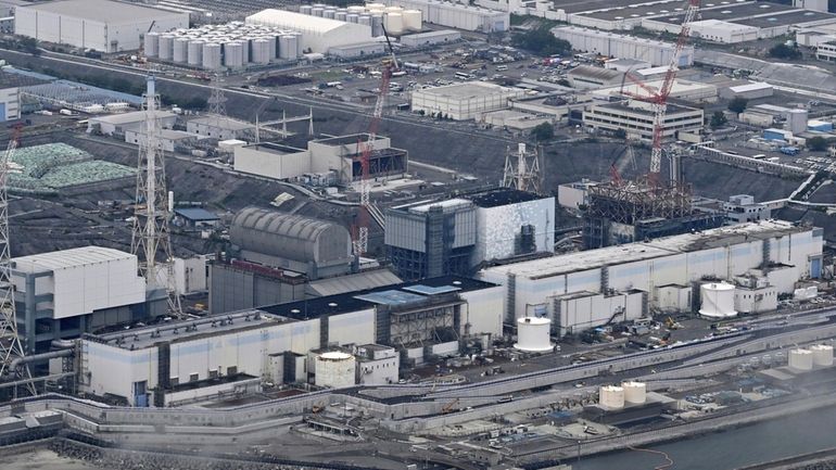 This photo shows the Fukushima Daiichi nuclear power plant in...