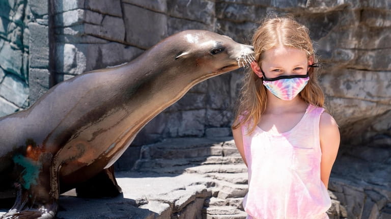 Nila the sea lion gives a kiss to Lucy Gallehugh,...
