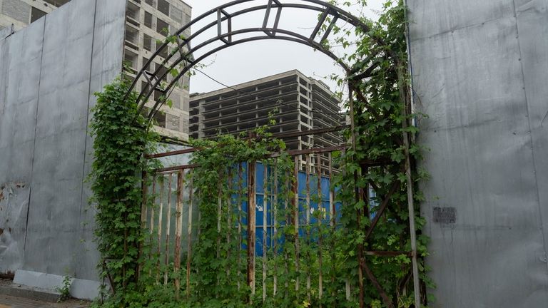 An entrance covered with overgrown plants is seen near an...