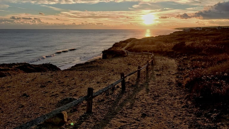 Take a hike this summer at Shadmoor State Park in Montauk. 