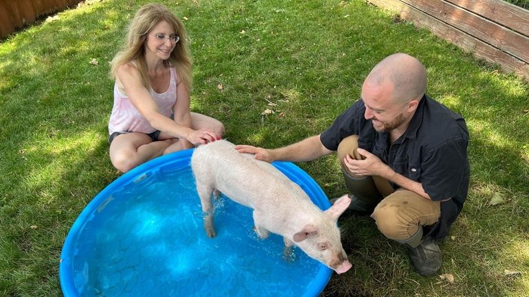 John Di Leonardo of Riverhead, anthrozoologist and president of Humane...