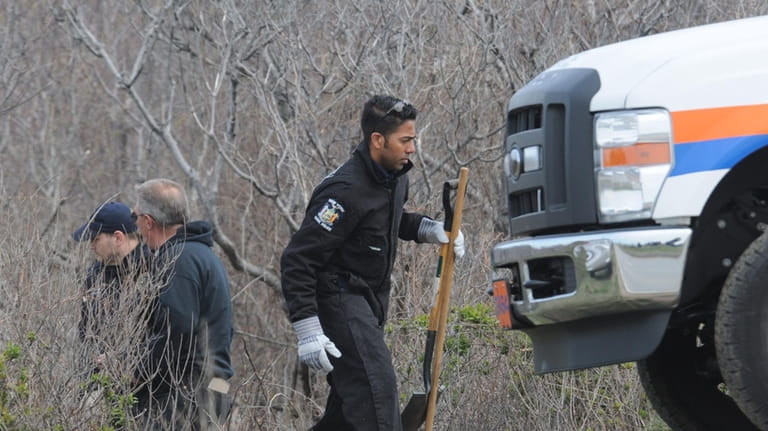 Investigators search brush along the north side of the Ocean...