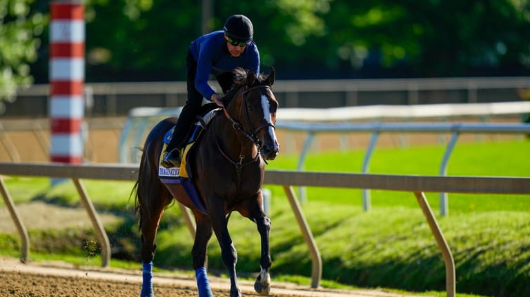 Preakness Stakes entrant Imagination works out ahead of the 149th...