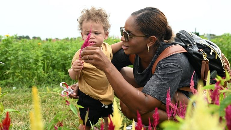 Brittany Gorman, of Coram, cuts flowers with her son, Gabriel,...