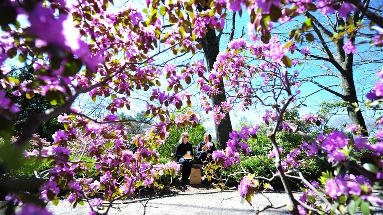 Visitors enjoy a spring day at Clark Botanical Garden in...