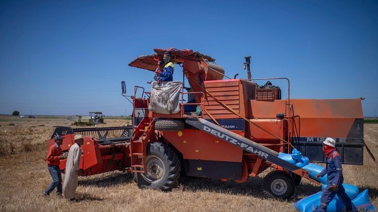 Farmers work on a wheat farm on the outskirts of...