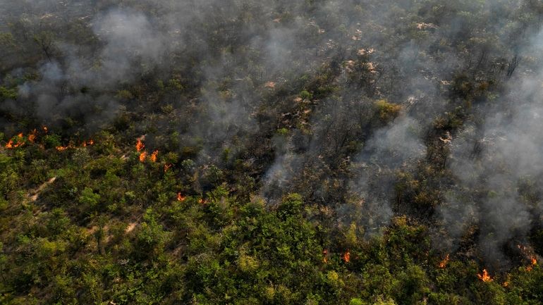 An extensive area of the Serra das Bandeiras forest burns...