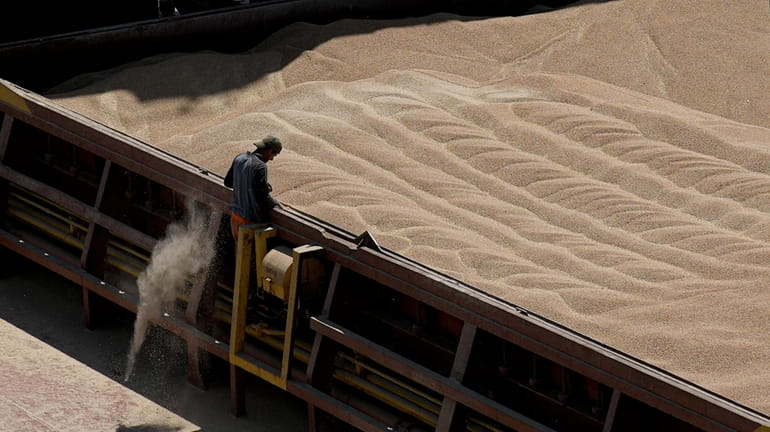 Ukrainian cereals are unloaded from a barge in the Black...