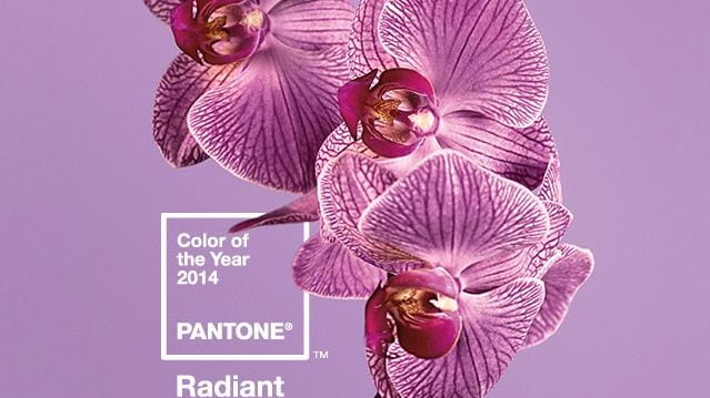 PANTONE® USA  Color of the Year 2013: PANTONE 17-5641 Emerald