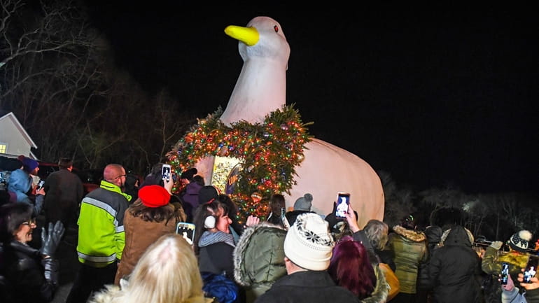 The annual lighting of the Big Duck in Flanders has...