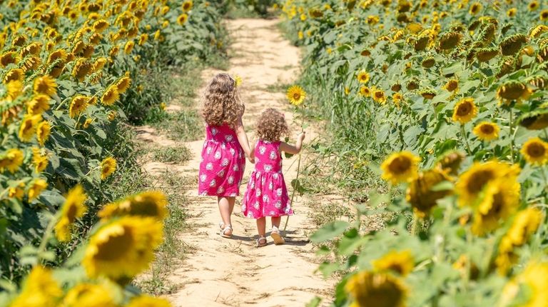 Chloe Robert-Demolaize, from Mattituck and her sister, Lilly, run through the...