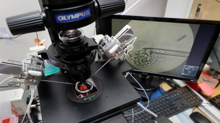 Lab staff use a microscope stand and articulated hand controls...