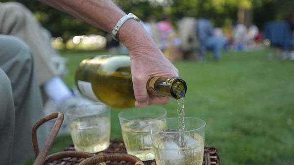 Picnic Pops at Old Westbury Garden. (Jessica Rotkiewicz)