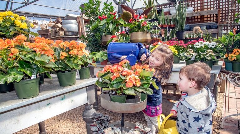 Mia Pinelli, 3, and her brother Joey, 2, of Centerport,...