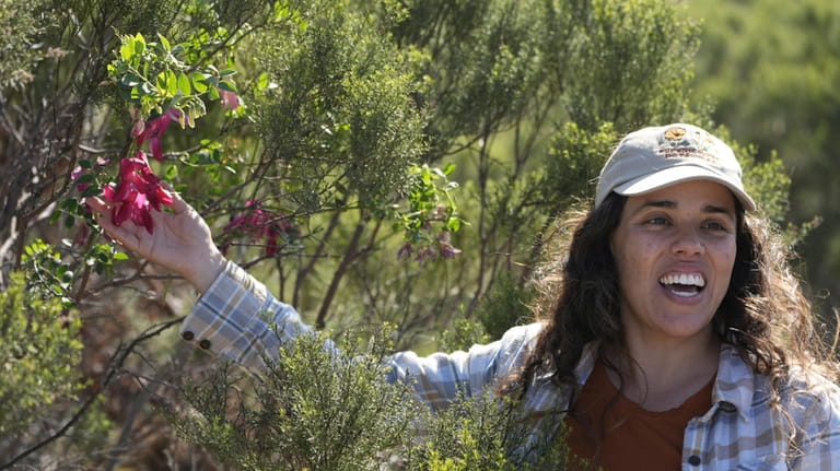 Tijuana-based field botanist Mariana Fernandez of Expediciones Botanicas leads a...