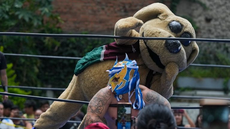 Wisin, the "puppy luchador" taunts an opponent during a lucha...