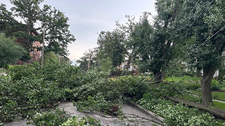 Downed trees and power lines litter a street after strong...