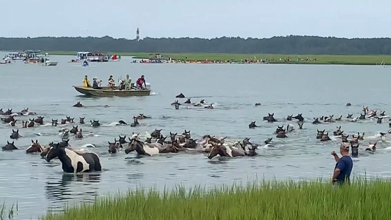 This photo taken from video provided by Chincoteague Chamber of...