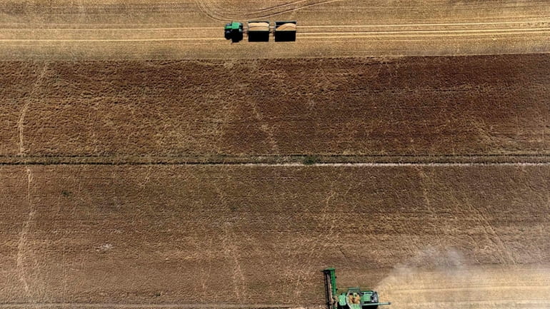 Farmers harvest a grain field near Wernigerode, Germany, Aug. 10,...