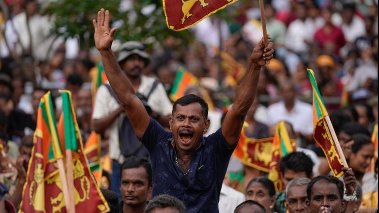 A supporter of Sri Lanka's president Ranil Wickremesinghe cheers during...