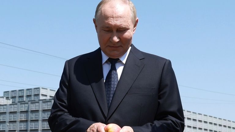 Russian President Vladimir Putin examines an apple at Agro-07 agricultural...