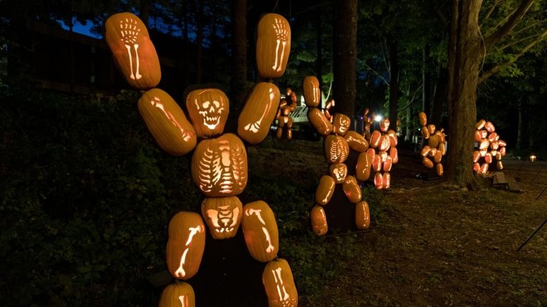 A pumpkin skeleton is display at the Blaze in 2021.