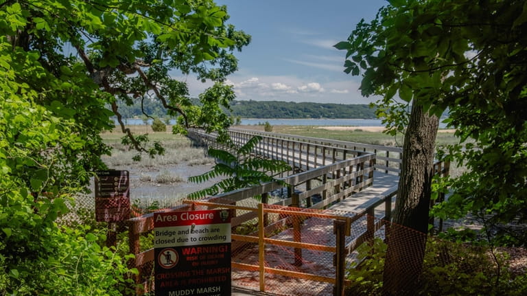 A footbridge that leads to a beach on the Cold...