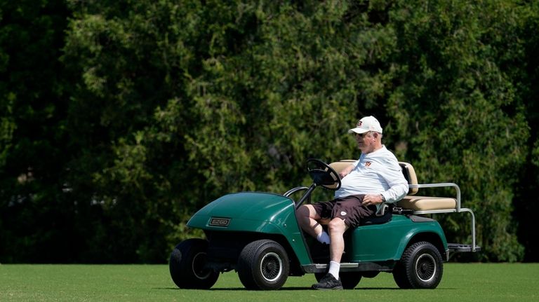 Cincinnati Bengals owner & general manager Mike Brown watches during...