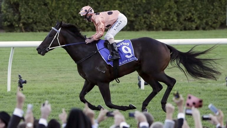 Black Caviar, ridden by Luke Nolen, crosses the finishing post...