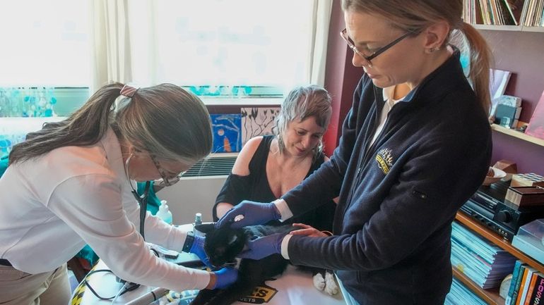 Dr. Amy Attas, left, and licensed veterinary technician Jeanine Lunz,...