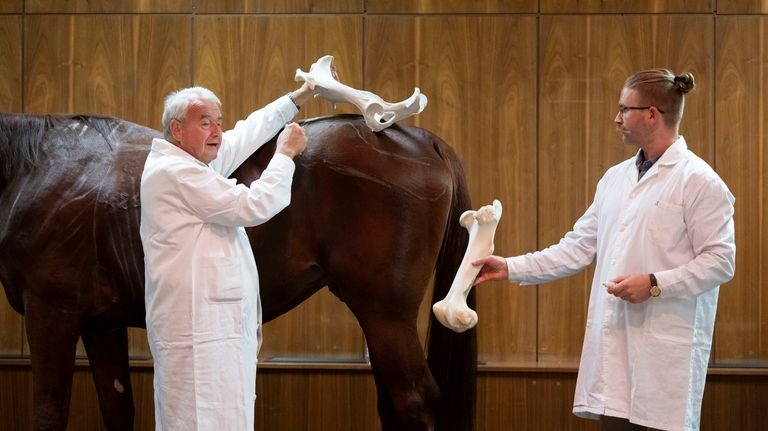 Dr. Peter Sotonyi, rector of the University of Veterinary Medicine...