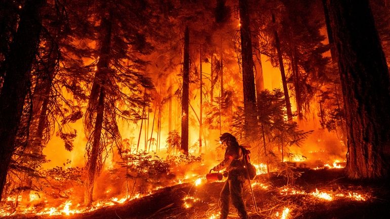 A firefighter uses a drip torch to burn vegetation while...