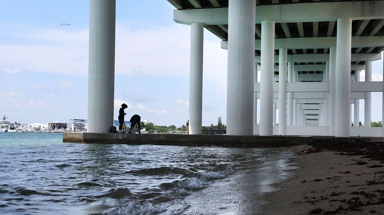 Under the Blue Heron Bridge at Phil Foster Park in...