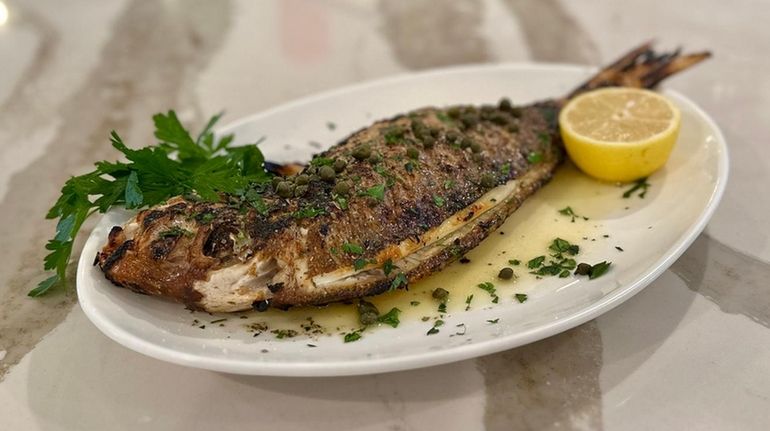 Whole grilled pink snapper (fagri) at Symi in Northport.