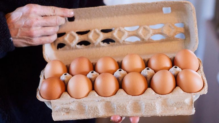 Dobler Farms organic brown eggs at Deep Roots Farmer's Market in...