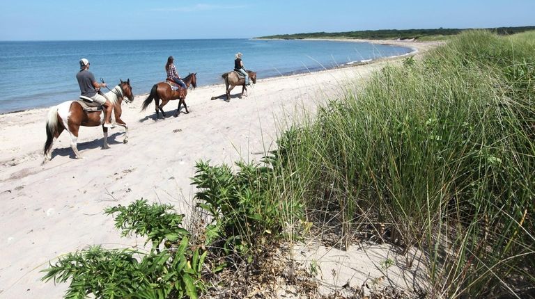 Riders access the beach by following a system of trails...