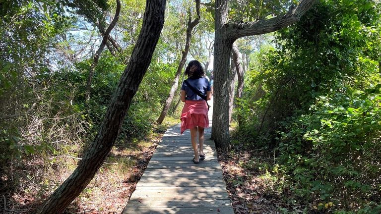 Fire Island’s Sunken Forest is still open into the fall.