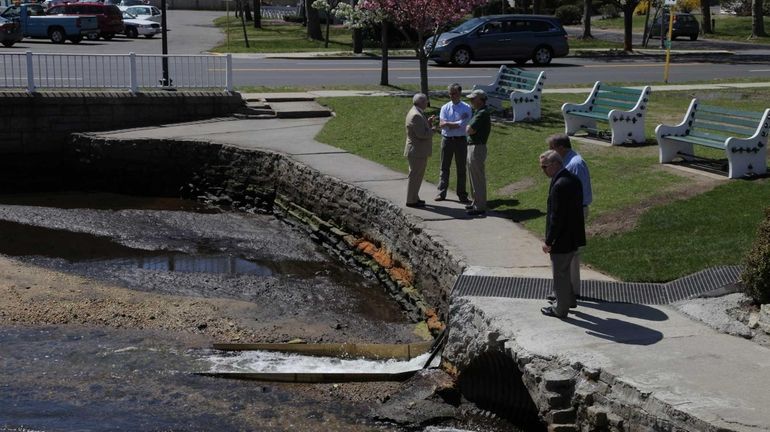 People stand a new fishway installed at Argyle Park in...