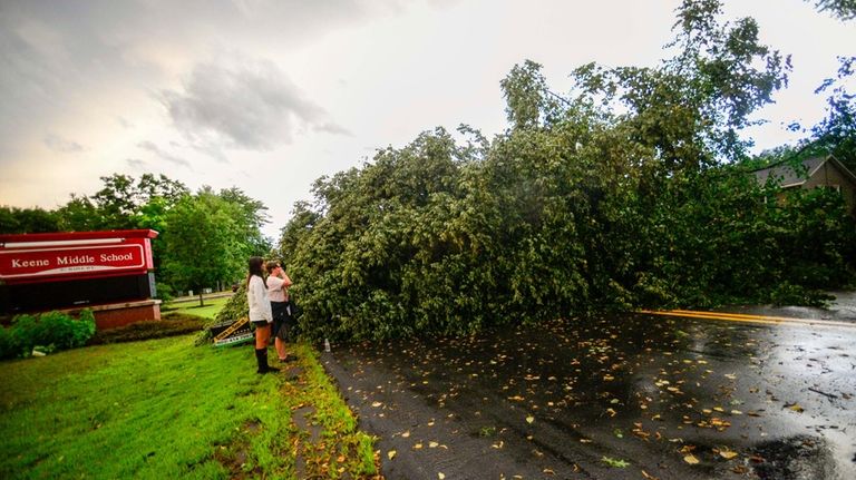 A giant tree blocks the road on Maple Avenue near...