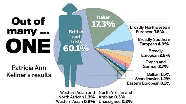 A pie chart depicting the results of Patricia Ann Kellner's...