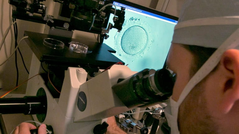 An embryologist uses a microscope to view an embryo, visible...